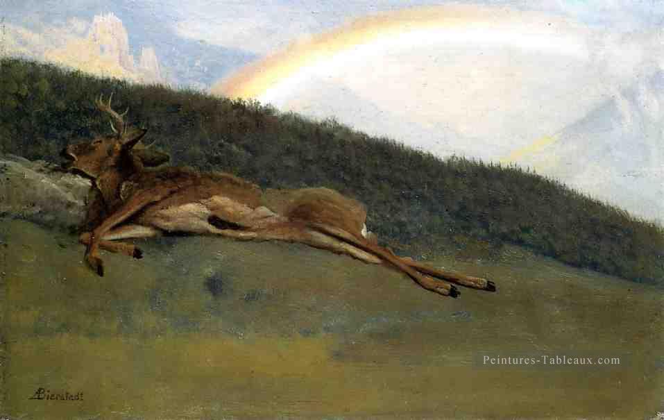 Arc en ciel sur un luminaire Fallen Stag Albert Bierstadt Peintures à l'huile